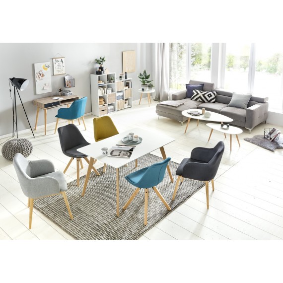 Esszimmerstuhl LIMA Grau